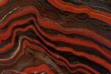 Polished Tiger Iron Stromatolite - Billion Years #129431-1